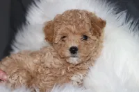 processed/9f65c381-b93b-47a0-8be7-5d8a093b68fb/facility/9d7825ff-3fc7-493d-a5da-2ec381d967e7