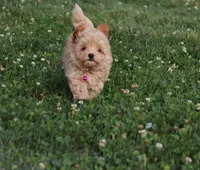 processed/9f65c381-b93b-47a0-8be7-5d8a093b68fb/facility/d95dd7a1-df13-4bc4-9a08-85669407b431