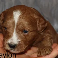 processed/9f65c381-b93b-47a0-8be7-5d8a093b68fb/facility/e9fc4b2a-8032-466c-9328-ea8e9f9cc61e