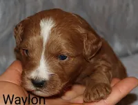 processed/9f65c381-b93b-47a0-8be7-5d8a093b68fb/facility/e9fc4b2a-8032-466c-9328-ea8e9f9cc61e