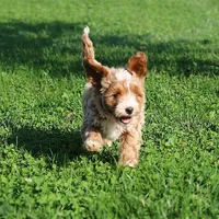 processed/9f65c381-b93b-47a0-8be7-5d8a093b68fb/facility/fadd16c8-5a96-4b22-b86b-2600ab94760b