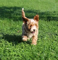 processed/9f65c381-b93b-47a0-8be7-5d8a093b68fb/facility/fadd16c8-5a96-4b22-b86b-2600ab94760b