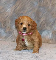 processed/9f65c381-b93b-47a0-8be7-5d8a093b68fb/listing/2fcc50b3-1856-4eea-a5cc-35ce27165e6e/32b6780b-0ebd-4fa0-b6f4-8e10dbbba861