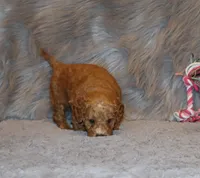 processed/9f65c381-b93b-47a0-8be7-5d8a093b68fb/listing/2fcc50b3-1856-4eea-a5cc-35ce27165e6e/da7b09c0-4ba5-4ad9-a17a-1edc8773074c