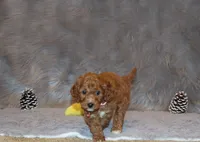 processed/9f65c381-b93b-47a0-8be7-5d8a093b68fb/listing/3f407c49-a8d8-4208-8b22-345d6f3064ba/5d23b773-e563-4964-95f5-6a38804ad0fa