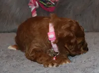 processed/9f65c381-b93b-47a0-8be7-5d8a093b68fb/listing/3f407c49-a8d8-4208-8b22-345d6f3064ba/73f10969-d569-48c5-81bb-601bc3616aba