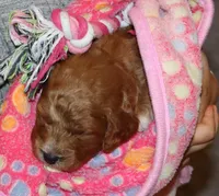 processed/9f65c381-b93b-47a0-8be7-5d8a093b68fb/listing/3f407c49-a8d8-4208-8b22-345d6f3064ba/970086d6-8c42-4701-b4ad-6faa15a4f0a8