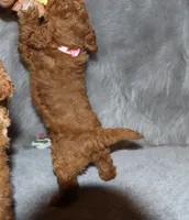 processed/9f65c381-b93b-47a0-8be7-5d8a093b68fb/listing/3f407c49-a8d8-4208-8b22-345d6f3064ba/ee382a4c-1c3e-4db1-b5bd-53aa0891feea