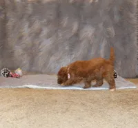 processed/9f65c381-b93b-47a0-8be7-5d8a093b68fb/listing/3f407c49-a8d8-4208-8b22-345d6f3064ba/fa6e7b3e-d6a4-4db3-9988-f2a52c362e5b