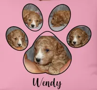 processed/9f65c381-b93b-47a0-8be7-5d8a093b68fb/listing/48497dbf-7352-415a-9422-182b0cdd1de5/cfa07d7b-ecb5-4423-8329-8014b604af26