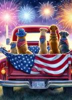 Happy 4th Of July 💞👨‍👨‍👧‍👦🐕, a male Havapoo for sale in Navarre, OH – 1 of 10