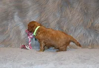 processed/9f65c381-b93b-47a0-8be7-5d8a093b68fb/listing/756a47fc-f831-45b9-8fec-c593f36d6563/2bdaf3e4-e91b-4cd4-ae4b-960265d8e67a