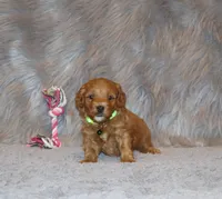 processed/9f65c381-b93b-47a0-8be7-5d8a093b68fb/listing/756a47fc-f831-45b9-8fec-c593f36d6563/4e3d796a-af23-4026-b3f0-ea2865ef59c0