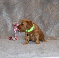 processed/9f65c381-b93b-47a0-8be7-5d8a093b68fb/listing/756a47fc-f831-45b9-8fec-c593f36d6563/76023b6c-462c-4b60-a3cf-bdc0368c24ba