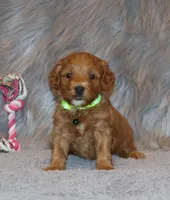 processed/9f65c381-b93b-47a0-8be7-5d8a093b68fb/listing/756a47fc-f831-45b9-8fec-c593f36d6563/7ac68869-d28f-4917-8453-bdb013e4faec