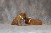 processed/9f65c381-b93b-47a0-8be7-5d8a093b68fb/listing/756a47fc-f831-45b9-8fec-c593f36d6563/93c41ee2-8e6c-4f7b-9e0b-64d4766de3c4