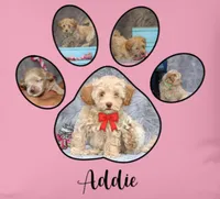 processed/9f65c381-b93b-47a0-8be7-5d8a093b68fb/listing/82997353-6383-4cc8-be0d-b8730139d9e8/18011325-5d21-4cd2-a3e9-2d09c024da4c