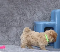 processed/9f65c381-b93b-47a0-8be7-5d8a093b68fb/listing/82997353-6383-4cc8-be0d-b8730139d9e8/357f432e-df26-4786-be2e-6ac0f69181d6