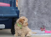 processed/9f65c381-b93b-47a0-8be7-5d8a093b68fb/listing/82997353-6383-4cc8-be0d-b8730139d9e8/7701d0a8-8636-4fe4-a63b-d0d4350bc901