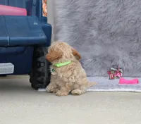 processed/9f65c381-b93b-47a0-8be7-5d8a093b68fb/listing/82997353-6383-4cc8-be0d-b8730139d9e8/b73e0a8e-d9b8-4abf-aa23-bdecb3982030