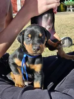 processed/9f65d2d8-0b79-448e-abb1-f47f51b36710/listing/ee484c33-2fa9-43a6-991a-9acea6f556d6/bf9d2052-a378-4f85-8541-be5fa8fd9703