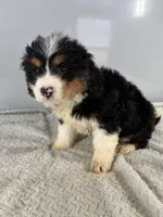 processed/9f65e01c-157f-4726-afdc-a786ca2391d8/listing/ae47c262-50b5-4ac2-895f-9d50e19275d9/7c7d2eea-2ea2-49c1-a17d-568521c530d2