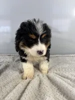 processed/9f65e01c-157f-4726-afdc-a786ca2391d8/listing/ae47c262-50b5-4ac2-895f-9d50e19275d9/e19568d6-a34b-4aec-b98c-4484e05648e1