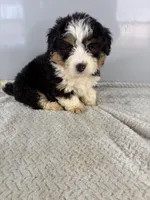 processed/9f65e01c-157f-4726-afdc-a786ca2391d8/listing/ff0428a2-1ae9-46b7-b726-417dba71f058/af27951e-9e92-4b37-b2b2-4f2182728032