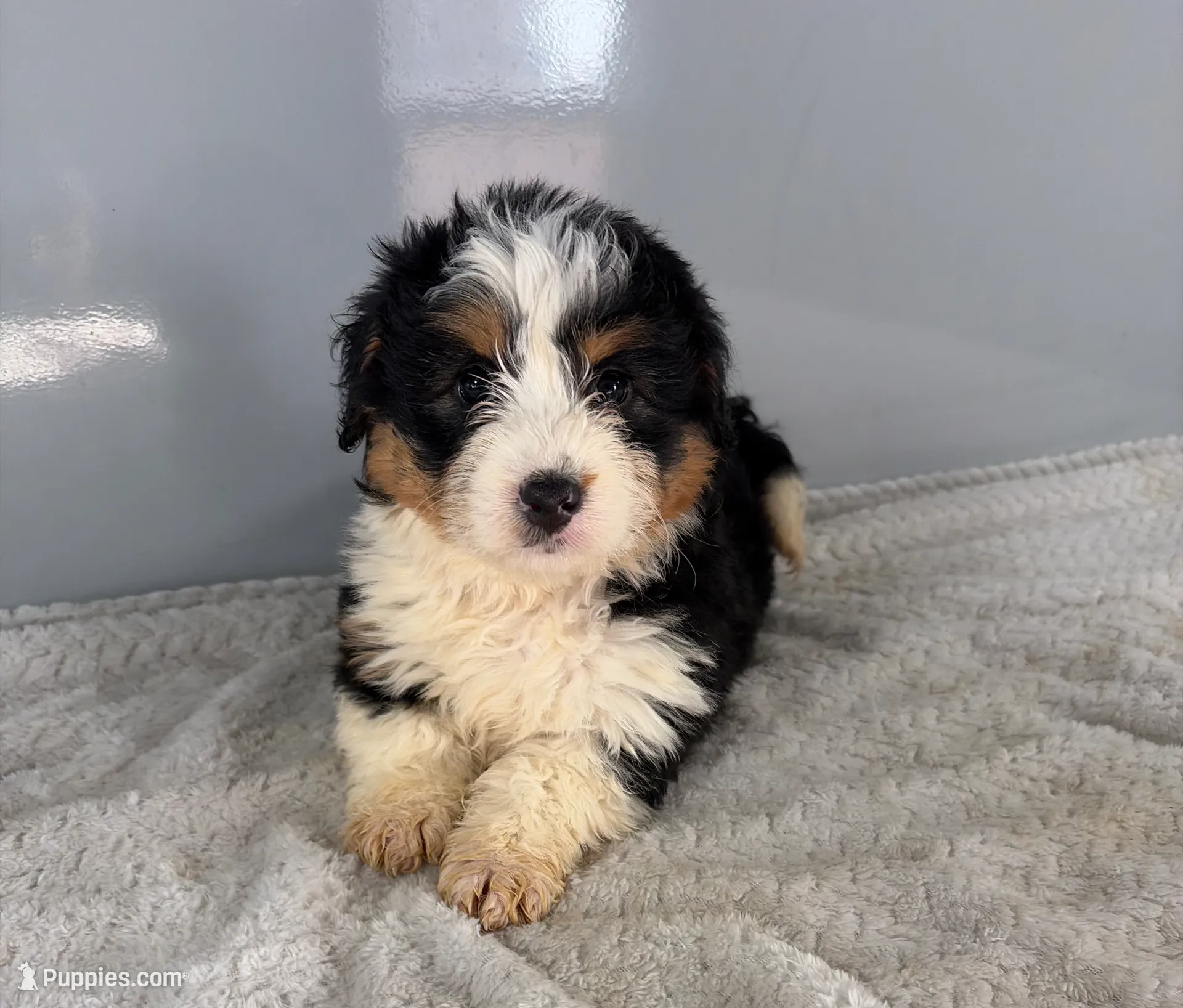 processed/9f65e01c-157f-4726-afdc-a786ca2391d8/listing/ff0428a2-1ae9-46b7-b726-417dba71f058/e7036449-d624-40de-88a0-04e257408a98