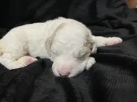 processed/9f6cf56a-97c3-4e23-bb08-36259d96f82b/listing/08498847-b52f-4aab-9211-b6372c5830fb/39df2520-b5d3-4954-86ad-a523c6dc9192