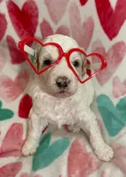 processed/9f6cf56a-97c3-4e23-bb08-36259d96f82b/listing/08498847-b52f-4aab-9211-b6372c5830fb/83e97cda-ed2c-4b8a-b9f9-681e8e921516