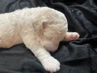 processed/9f6cf56a-97c3-4e23-bb08-36259d96f82b/listing/08498847-b52f-4aab-9211-b6372c5830fb/eb4bc79f-5085-41b8-aed0-94d4ab1ba73f