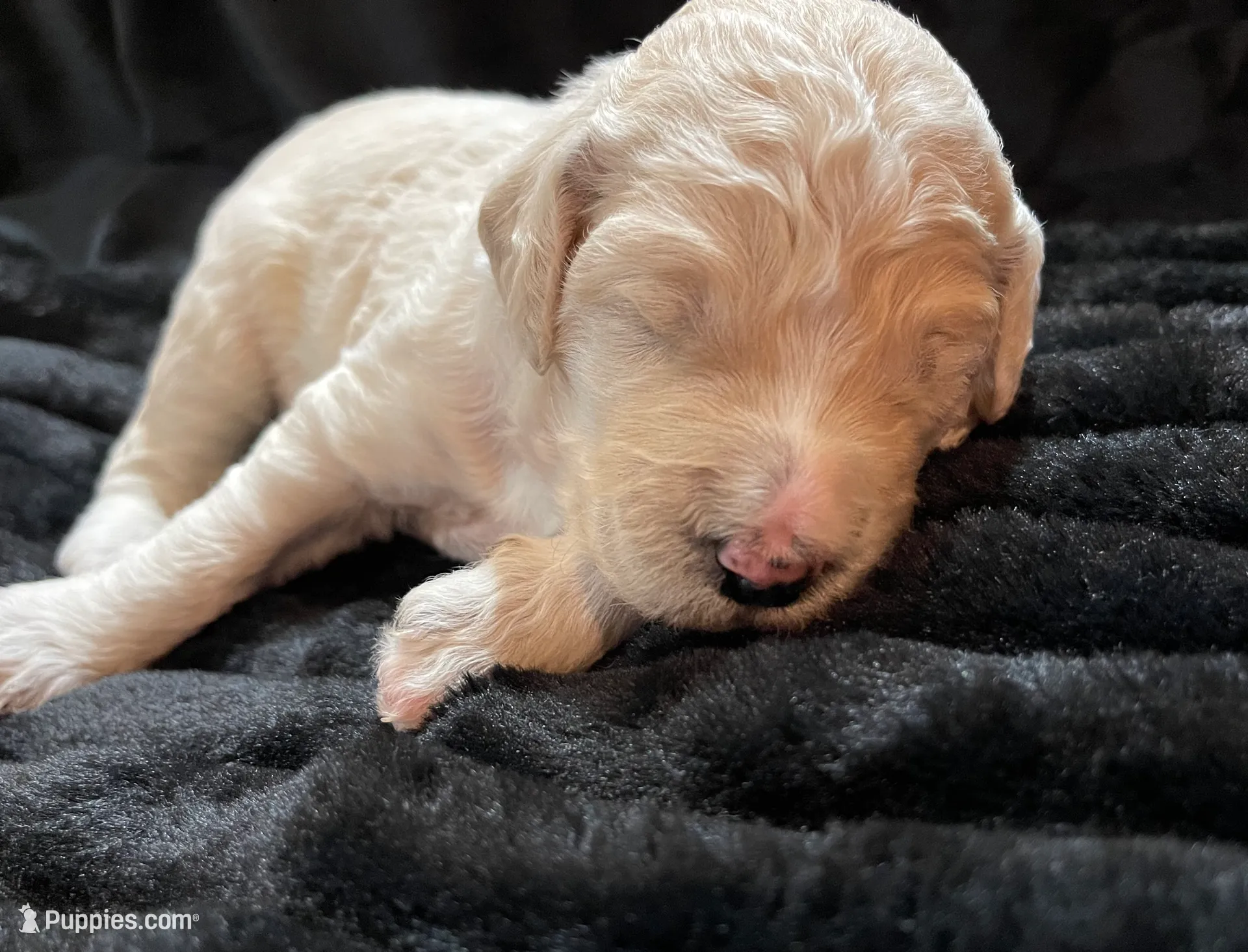 processed/9f6cf56a-97c3-4e23-bb08-36259d96f82b/listing/10e9cdcc-ce4e-4562-b541-c574bf0fe810/5a00a667-e64a-4575-9778-aa75d95971b1