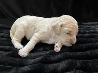 processed/9f6cf56a-97c3-4e23-bb08-36259d96f82b/listing/10e9cdcc-ce4e-4562-b541-c574bf0fe810/f37850d9-dc21-4e3c-95b4-6255fed07d5c