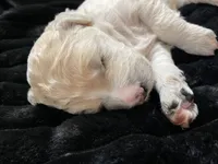 processed/9f6cf56a-97c3-4e23-bb08-36259d96f82b/listing/10e9cdcc-ce4e-4562-b541-c574bf0fe810/fbf1b02c-ec85-443c-8bca-3b2fea4e615c