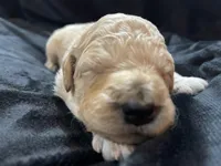 processed/9f6cf56a-97c3-4e23-bb08-36259d96f82b/listing/38434c7b-2133-4154-b958-36c06932cab5/81d86774-c26c-48d3-a468-c5e7f03fff15