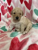 processed/9f6cf56a-97c3-4e23-bb08-36259d96f82b/listing/38434c7b-2133-4154-b958-36c06932cab5/84dbee77-c487-4408-8f8f-ffc79b665ac6