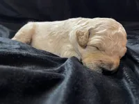 processed/9f6cf56a-97c3-4e23-bb08-36259d96f82b/listing/38434c7b-2133-4154-b958-36c06932cab5/af3b9c8c-4802-40fd-ada4-34125b47f0fe