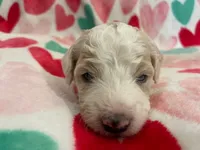 processed/9f6cf56a-97c3-4e23-bb08-36259d96f82b/listing/3ed2a029-b15b-4d99-8077-a7ba51b35555/286e84f9-ba6c-4a38-945f-f6f78494f72d