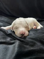 processed/9f6cf56a-97c3-4e23-bb08-36259d96f82b/listing/3ed2a029-b15b-4d99-8077-a7ba51b35555/3b2f2961-1200-4784-8da4-6559509cbe7c