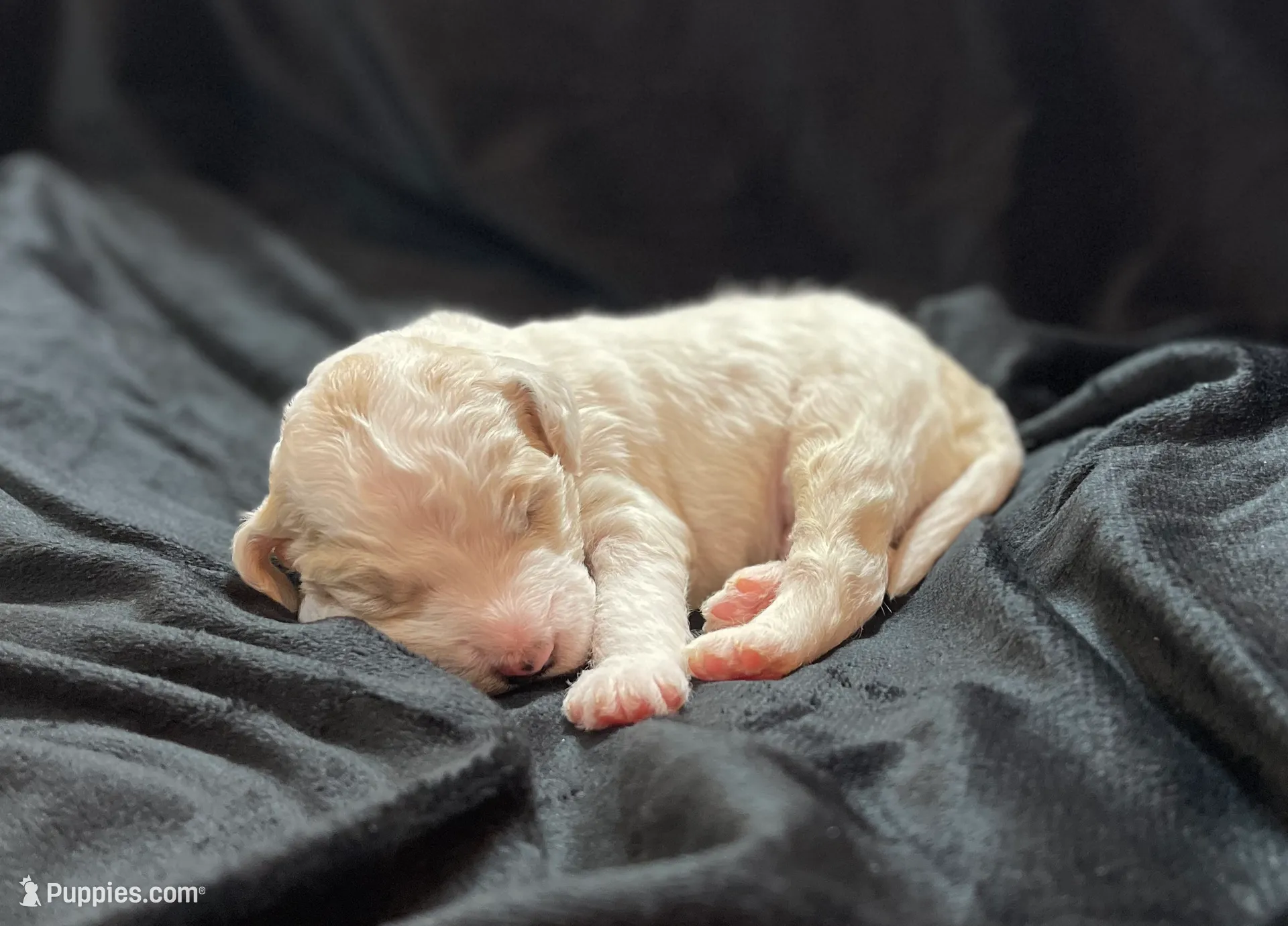 processed/9f6cf56a-97c3-4e23-bb08-36259d96f82b/listing/3ed2a029-b15b-4d99-8077-a7ba51b35555/41d042b1-9953-4b3a-b760-3735b151bd3a