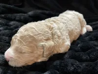 processed/9f6cf56a-97c3-4e23-bb08-36259d96f82b/listing/4e66f23b-2e07-4c15-bdd8-13e872fb7e79/94762fba-2385-400d-b232-e7aa87ecd5f9