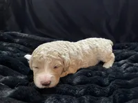 processed/9f6cf56a-97c3-4e23-bb08-36259d96f82b/listing/4e66f23b-2e07-4c15-bdd8-13e872fb7e79/aadb459b-ba16-426e-9d63-c5d0118e255e