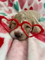 processed/9f6cf56a-97c3-4e23-bb08-36259d96f82b/listing/4e66f23b-2e07-4c15-bdd8-13e872fb7e79/cc62cc09-3959-4e62-a172-8144ff90fd1a