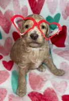 processed/9f6cf56a-97c3-4e23-bb08-36259d96f82b/listing/961ce029-fe33-4c7d-a7e5-4663b577d959/119ac3e0-04fe-43da-8195-a865f2df8c7b