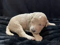 processed/9f6cf56a-97c3-4e23-bb08-36259d96f82b/listing/961ce029-fe33-4c7d-a7e5-4663b577d959/ac19fb9b-873f-47d0-8394-dfe8570d8eed