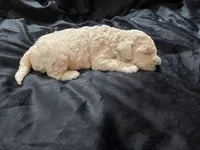 processed/9f6cf56a-97c3-4e23-bb08-36259d96f82b/listing/fb143776-c7e8-424d-a185-b48193efe023/473a584c-61d2-493c-92cd-0a30a7cc0ebf