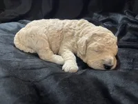 processed/9f6cf56a-97c3-4e23-bb08-36259d96f82b/listing/fb143776-c7e8-424d-a185-b48193efe023/aa1aeb83-1cf6-4e7f-a3a4-285994995bc0