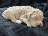 processed/9f6cf56a-97c3-4e23-bb08-36259d96f82b/listing/fb143776-c7e8-424d-a185-b48193efe023/b00d950e-753c-4926-8fb6-6b778acbc4c6