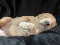 processed/9f6cf56a-97c3-4e23-bb08-36259d96f82b/listing/fb143776-c7e8-424d-a185-b48193efe023/ebc4b498-c482-49ca-a6fd-e7670a3c82bc